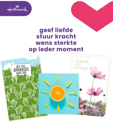 Wenskaart Hallmark Business Box beterschap navulset à 12 stuks