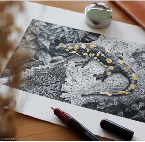 Tekenset rOtring Isograph College 0.2-0.3-0.5mm 1 Stuk-4