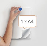 Magneet Nobo 13mm assorti 10 stuks 10 Stuk-1