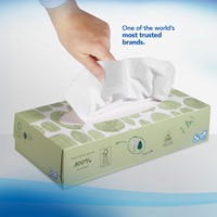 Facial tissues Scott 2laags 100 vel wit 1 Stuk-3