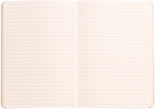 Notitieboek Rhodia A6 lijn 72 vel 90gr zwart 1 Stuk-2