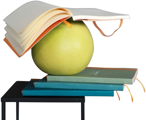 Notitieboek Rhodia A5 lijn 80 vel 90gr saliegroen 1 Stuk-3