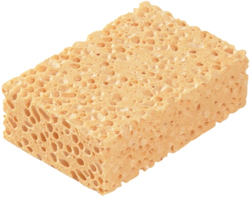 Spons Spontex Azella 82 glazenwassersspons 10stuks 10 Stuk-2