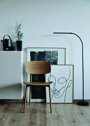 Vloerlamp MAUL Pirro LED dimbaar zwart 1 Stuk-3