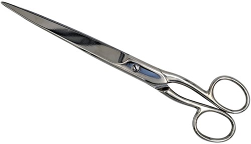 Schaar 250mm roestvrijstaal rechtshandig 1 Stuk-2