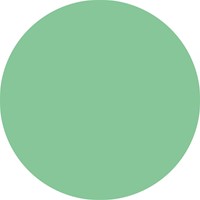 Kleurpotlood STABILO 880 woody 3 in 1 pastel groen 1 Stuk-2