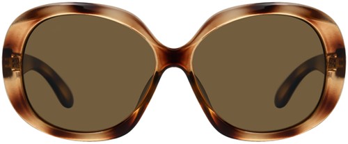 Zonnebril Montana bruin polar glas glans demi 1 Stuk