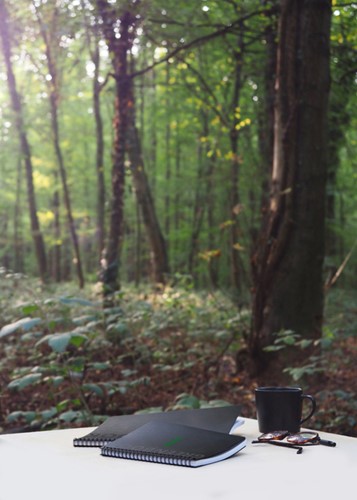 Notbk Rhodia Greenbook A4+ lijn 4-g 180pag zwart 1 Stuk-2