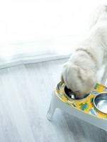 Vernis Décopatch Voedselveilig 180ml 1 Fles-3