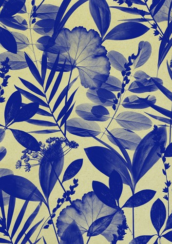 Consumentenrollen Mindful 1 Rol-3