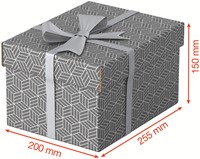 Opberg en geschenkdoos Esselte 200x150x255 3 Stuk-3