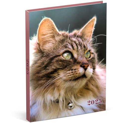 Agenda 2025 Lannoo My Favourite Friends 7d/2p 1 Stuk