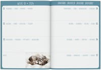 Agenda 2025 Lannoo My Favourite Friends 7d/2p 1 Stuk-2