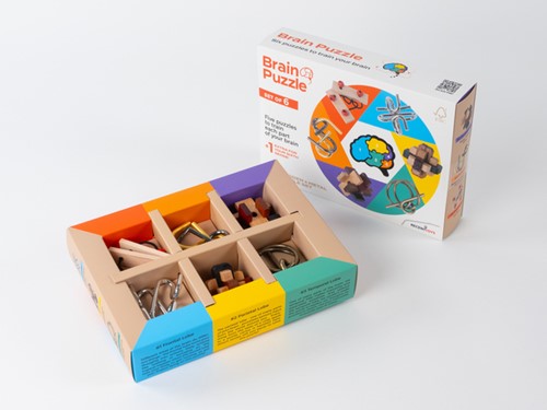 Brain Puzzles - set of 6 6 Set-2