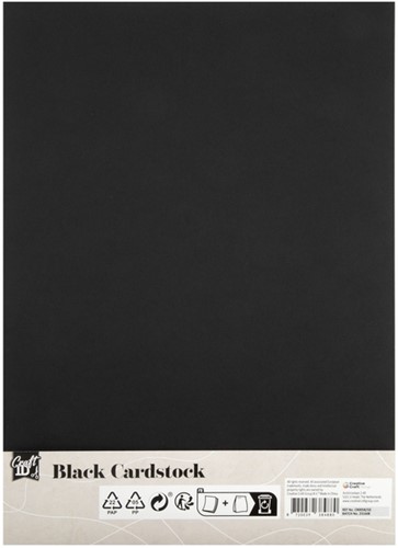 Hobbykarton CraftID A4 220gr zwart 10 vel 10 Vel-2