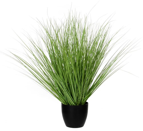 Kunstgras Mica in plastic pot 14.5cm 1 Stuk