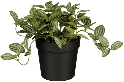 Kunstplant Mica Tradescantia in pot 16x16cm 1 Stuk