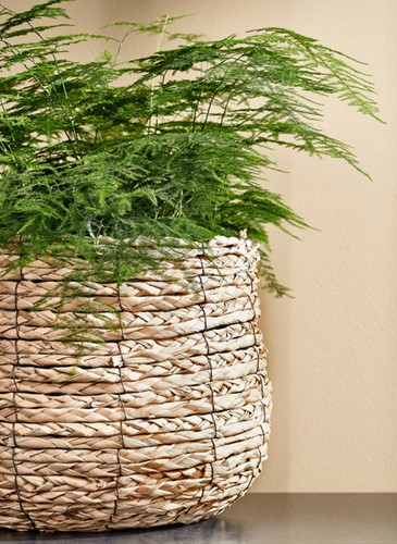 Plantenmand Mica Avalon zeegras rond 31x30cm lichtbruin-1