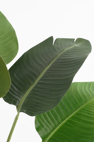 Kunstplant Mica Bananen boom in pot 1 Stuk-3