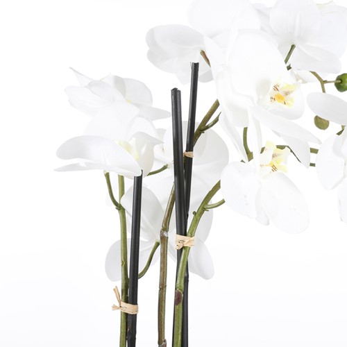 Kunstplant Mica Phalaenopsis orchidee wit 1 Stuk-2