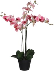 Kunstplant Mica Phalaenopsis orchidee roze 1 Stuk