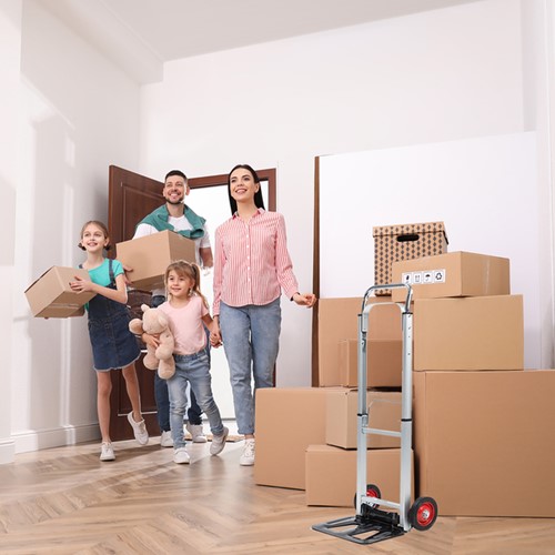 Steekwagen BRASQ inkapbaar stalen plateau 90 kg 1 Stuk-8