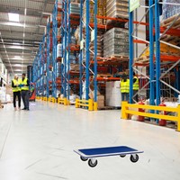 Transportkar BRASQ zonder duwbeugel 300kg 1 Stuk-4