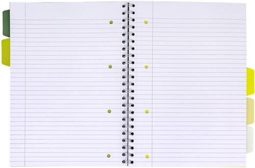 Projectboek Pukka Recy A4 lijn 4-g 200pag 80gr gn 1 Stuk-2