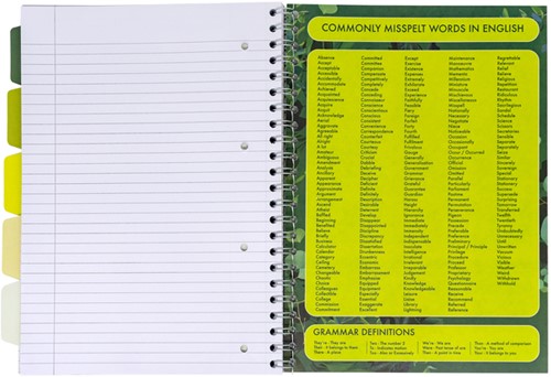 Projectboek Pukka Recy A4 lijn 4-g 200pag 80gr gn 1 Stuk-2