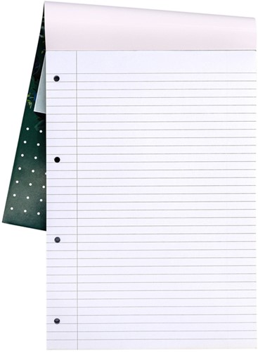 Schrijfblok Pukka A4 lijn 4-gaats 100 vel 80gr 1 Stuk-2