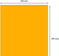 Etiket Rillprint 210x297mm fluor oranje 100 stuks-2