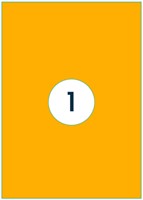 Etiket Rillprint 210x297mm fluoror 100 etiketten 100 Vel