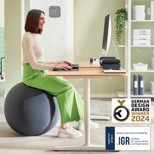 Actieve zitbal Leitz Ergo 55cm anti-rol donkergrijs-4