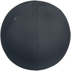 Actieve zitbal Leitz Ergo 65cm anti-rol donkergs 1 Stuk