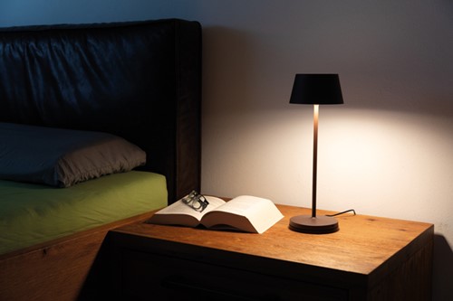 Tafellamp MAUL Nina LED dimbaar bruin 1 Stuk-1