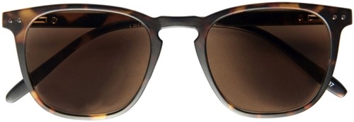 Zonnebril I Need You  +2.50dpt Playa havanna 1 Stuk