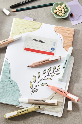Markeerstift STABILO Swing cool nature colors aardegroen-4