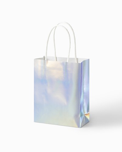 Cadeautas Folia iriserend kraft 12x15x5.5cm 10st 10 Stuk-2