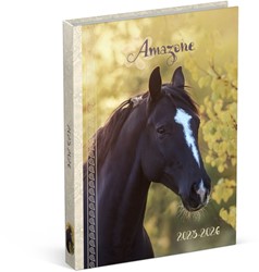 Schoolagenda 25-26 Lannoo Horses 1dag/1pagina geel 1 Stuk