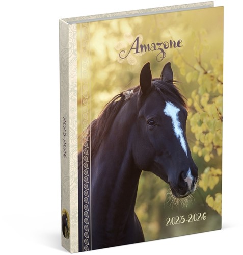 Schoolagenda 25-26 Lannoo Horses 1dag/1pagina geel 1 Stuk