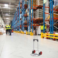 Steekwagen BRASQ Inkl HT60 incl. bagagespin 60Kg 1 Stuk-7