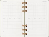 Agenda 2025/2026 Msk Academic Spiral 7d/1p kiwi 1 Stuk-3