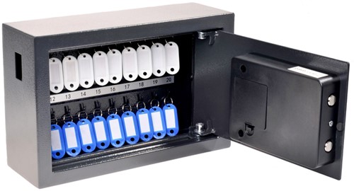 Sleutelkast Pavo High security Advanced 20 haken 200x310x100mm