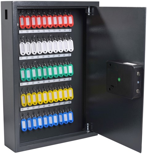 Sleutelkast Pavo High security advanced 50 haken 1 Stuk