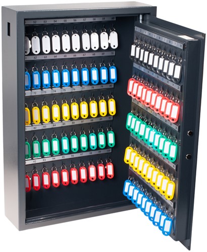 Sleutelkast Pavo High security advanced 100 haken 1 Stuk