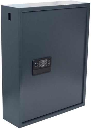 Sleutelkast Pavo High security Advanced 100 haken 600x410x120mm-2