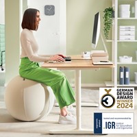 Actieve zitbal Leitz Ergo 75cm anti-rol lichtgrijs-3