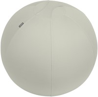 Actieve zitbal Leitz Ergo 65cm anti-rol design