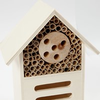 Insecten- en vlinder hotel Creativ Company hout 1 Doos-3