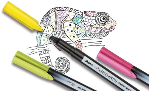 Fineliner Pentel Pointliner S40-A fijn zwart 1 Stuk-1